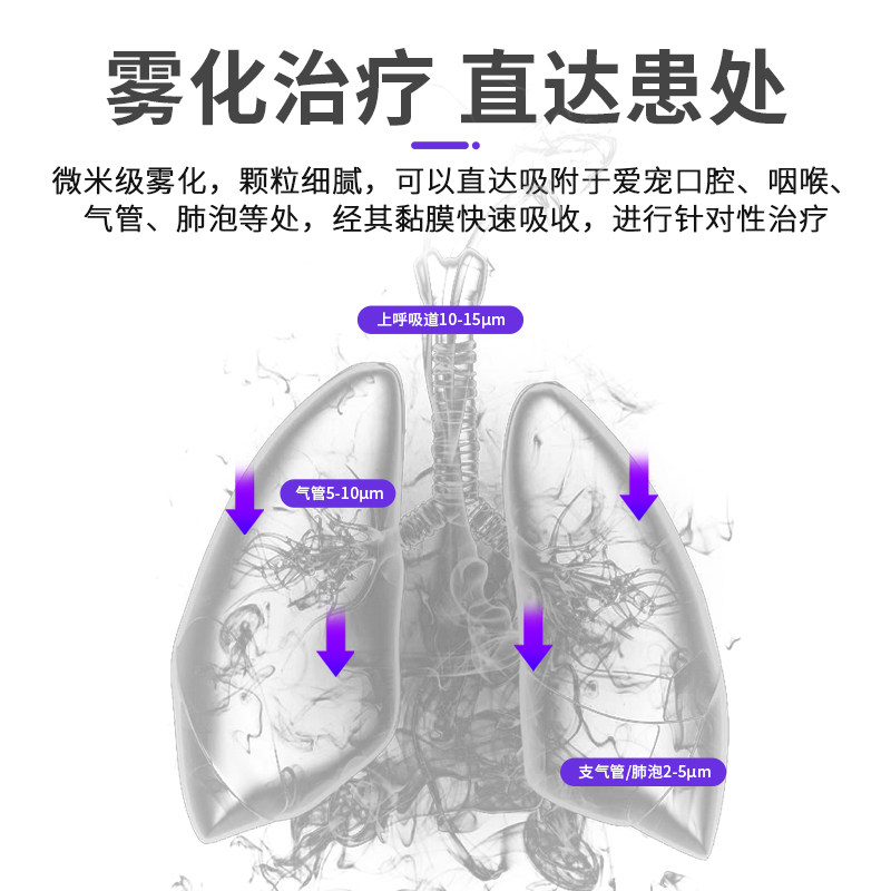 乌龟肺炎雾化药套餐乌龟感冒肺炎药巴西龟浮水张嘴叫喘呼吸道感染,淘宝优惠券,粉丝福利购,淘宝优惠卷