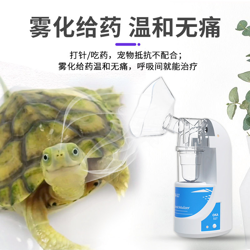 乌龟肺炎雾化药套餐乌龟感冒肺炎药巴西龟浮水张嘴叫喘呼吸道感染,淘宝优惠券,粉丝福利购,淘宝优惠卷