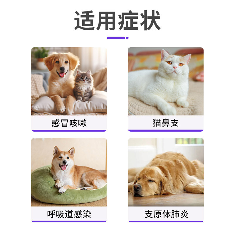 阿莫西林猫鼻支盐酸多西环素片犬猫咪狗狗咳嗽感冒猫口炎感染发炎,淘宝优惠券,粉丝福利购,淘宝优惠卷