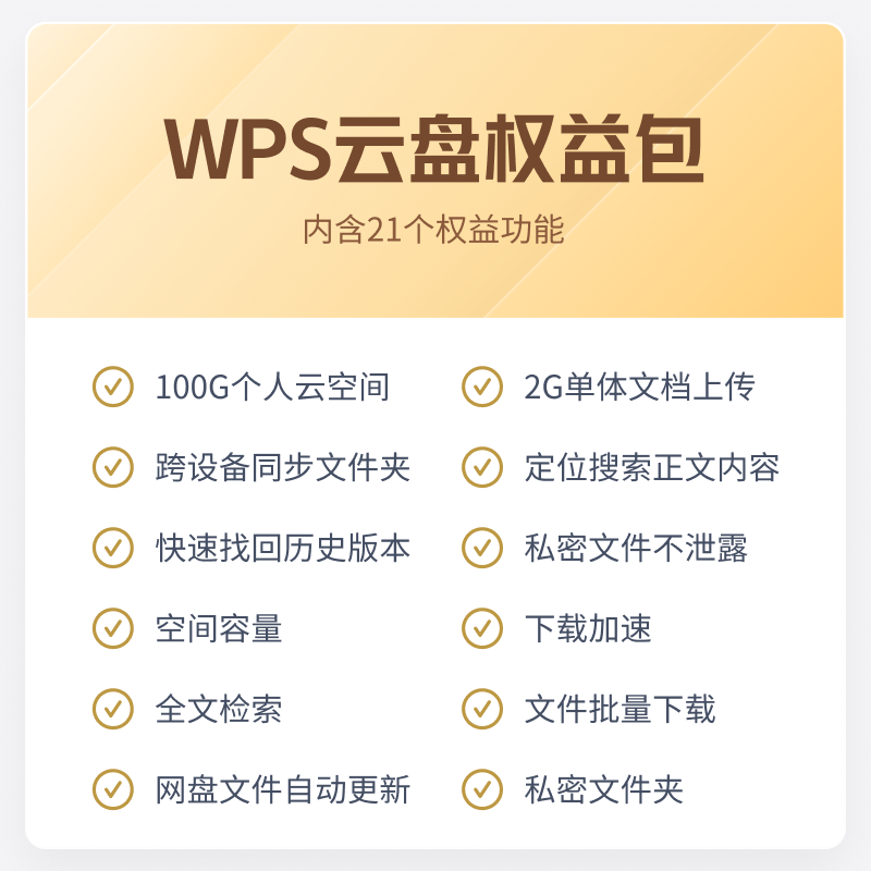 WPS云盘套餐31天云空间100G高速文件上传下载快速高效利器 - 图1