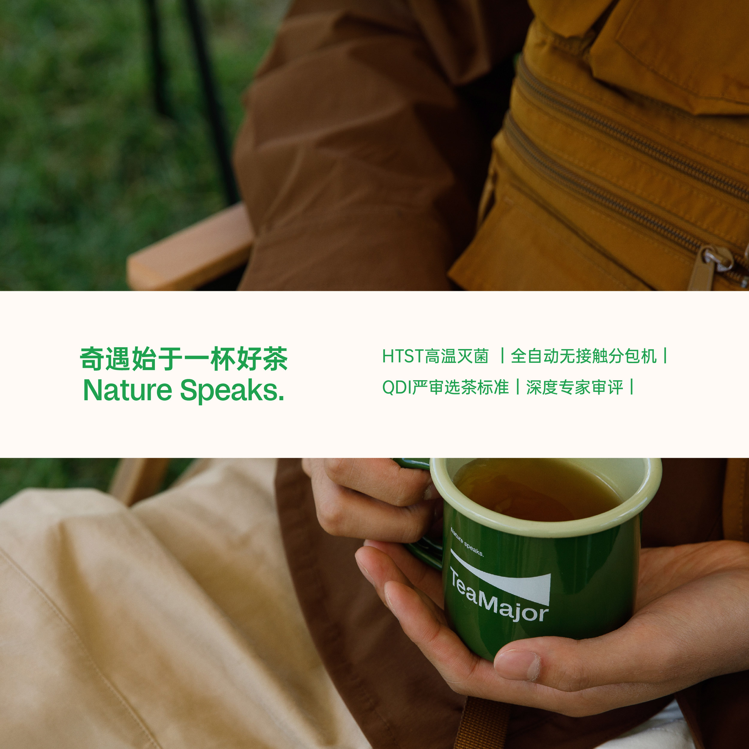 TeaMajor鲜叶说补充装袋泡茶鸭屎香茶金骏眉红茶肉桂乌龙茶冷泡茶 - 图3