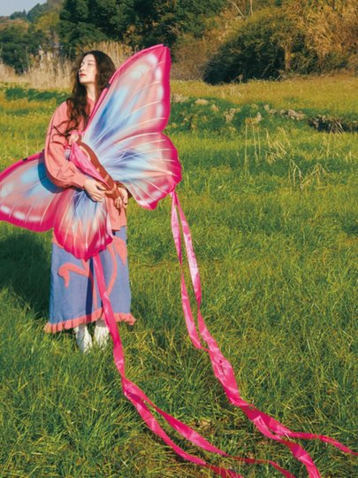 Fantasy butterfly kite photo production props outing toy 2025 new large adult