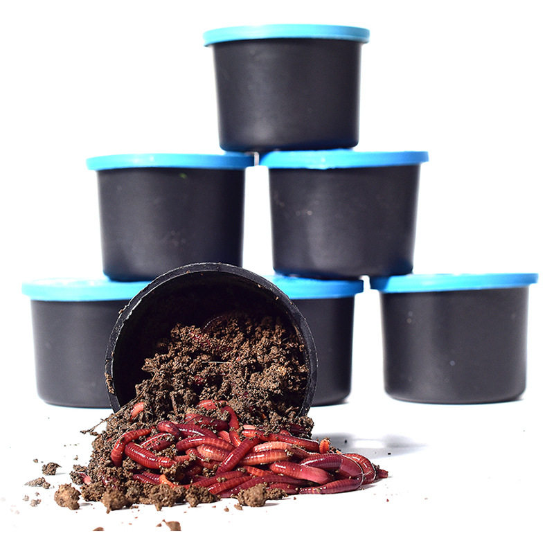 蚯蚓活饵活体鲜活钓鱼鱼饵红蚯蚓散装盒装黄鳝饵料黑蚯蚓红虫鱼饵,淘宝优惠券,粉丝福利购,淘宝优惠卷