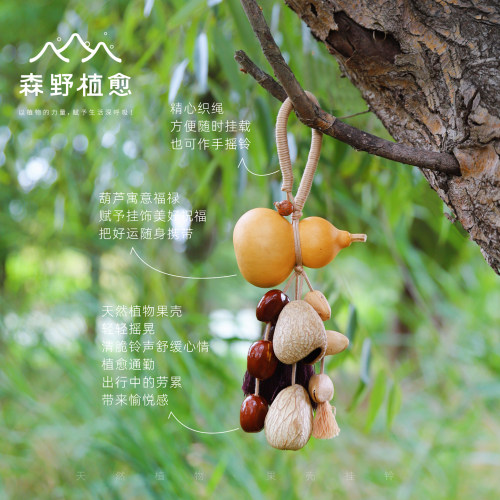 森野植愈包包挂件葫芦福禄同行果壳摇铃车挂背包可爱生日礼物配饰 - 图0