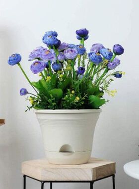 Self-Watering Pot Automatic Watering Pots Self-Watering