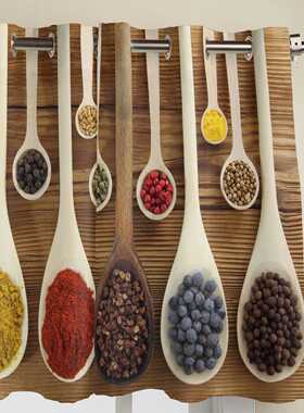 Spices Seasoning Spoons Colorful Window Curtains for