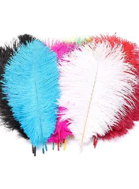 10Pcs/Lot Natural Colorful High Quality Ostrich Feathers