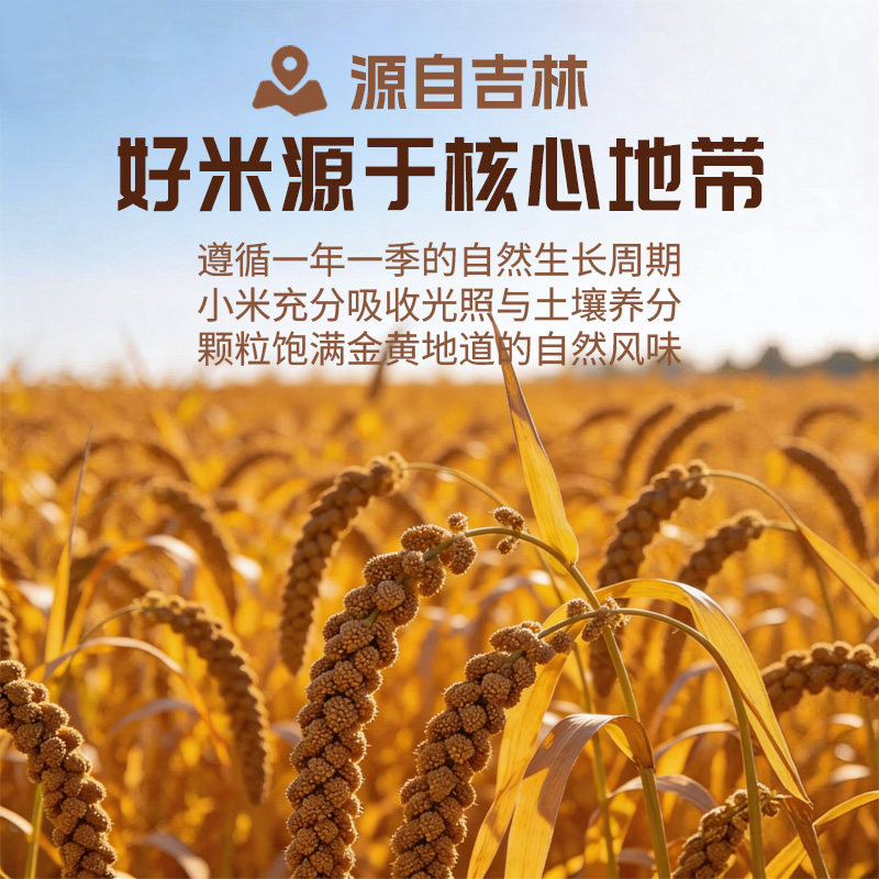 碱不落 东北小米2.5kg 优质新米食用杂粮粥 农家五谷