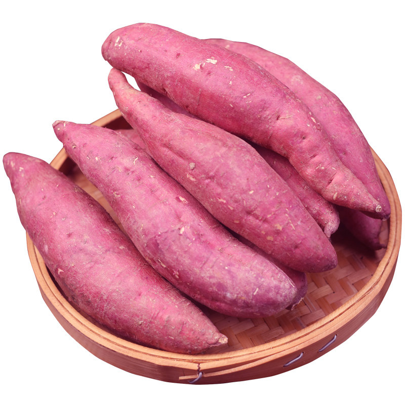 特级沙地紫薯10斤新鲜糖心蜜薯板栗 黄六爷生鲜番薯