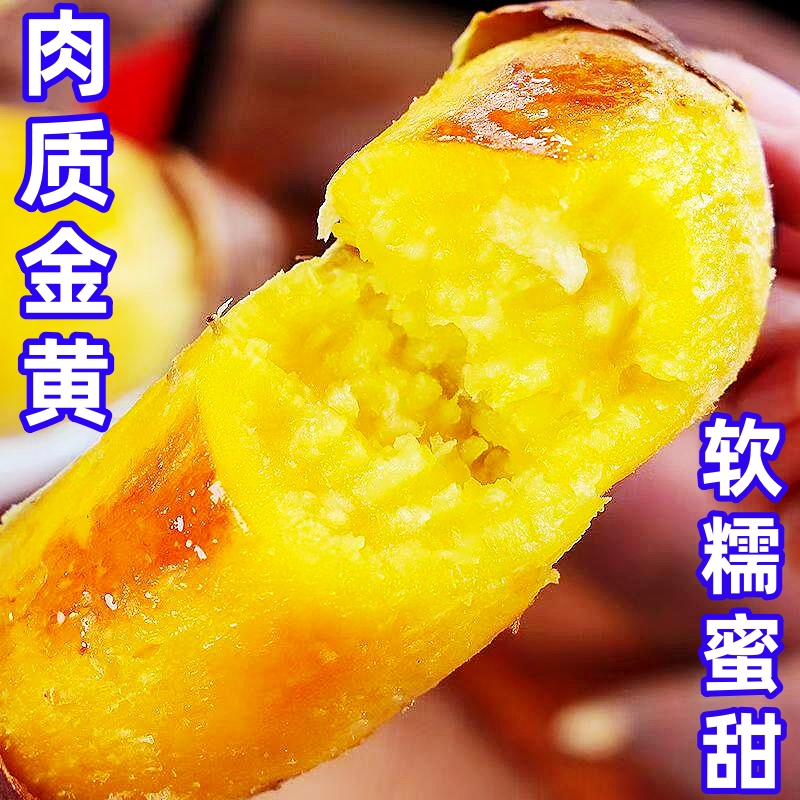 正宗真榴莲蜜薯10斤黄金番薯黄心红薯新鲜玛莎莉现挖地瓜蔬菜包邮