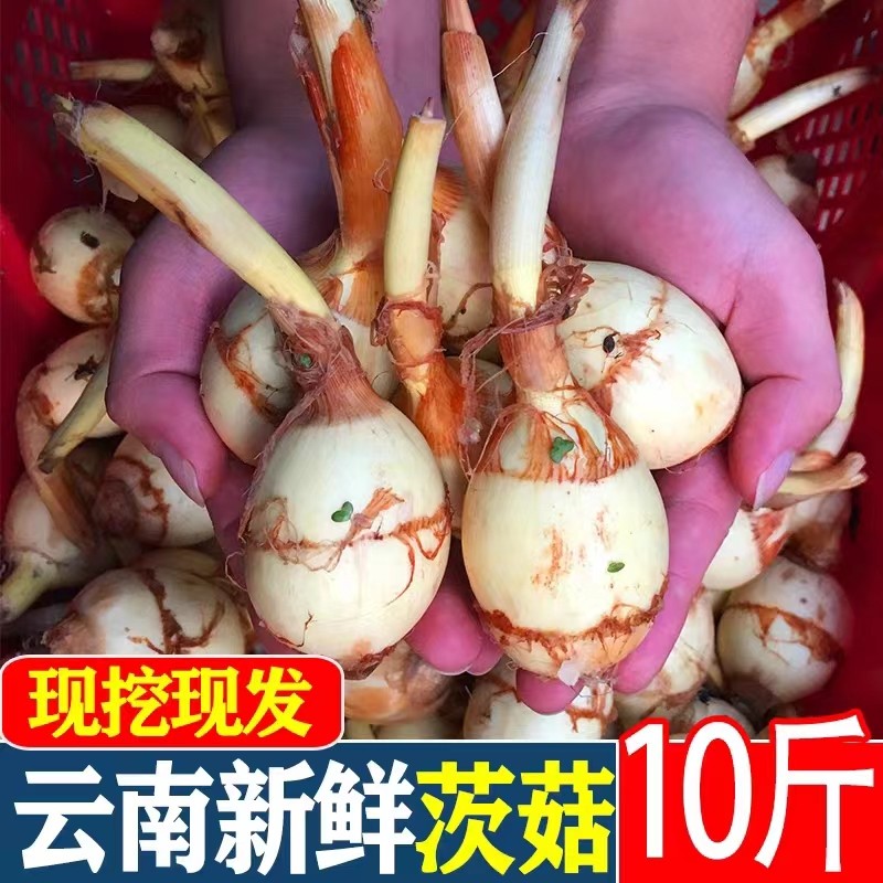  黄六爷生鲜其它