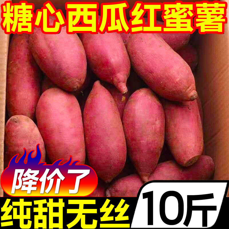 正宗山东烟薯25号10斤新鲜蜜薯番薯 黄六爷生鲜番薯