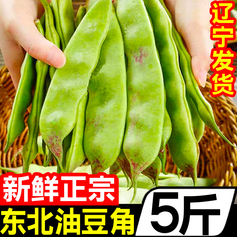 东北油豆角5斤黑龙江新鲜现摘蔬菜一点红油豆角九月青整箱包邮10-图1