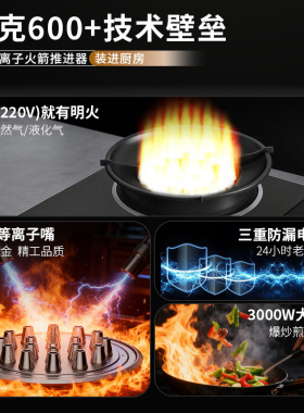 华火3000W纯电明火台式电火灶