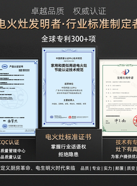 华火电火灶电燃电焰灶大火力节能家用单灶电磁炉电生明火台式3000