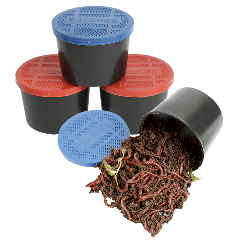 钓鱼蚯蚓活饵野钓大号红蚯蚓土活体盒装红虫鱼饵垂钓活饵料散装,淘宝优惠券,粉丝福利购,淘宝优惠卷