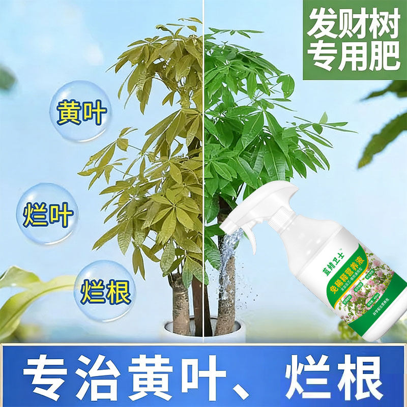 发财树肥料专用肥绿植物家用室内盆栽水培黄枯叶通用营养液水溶肥,淘宝优惠券,粉丝福利购,淘宝优惠卷
