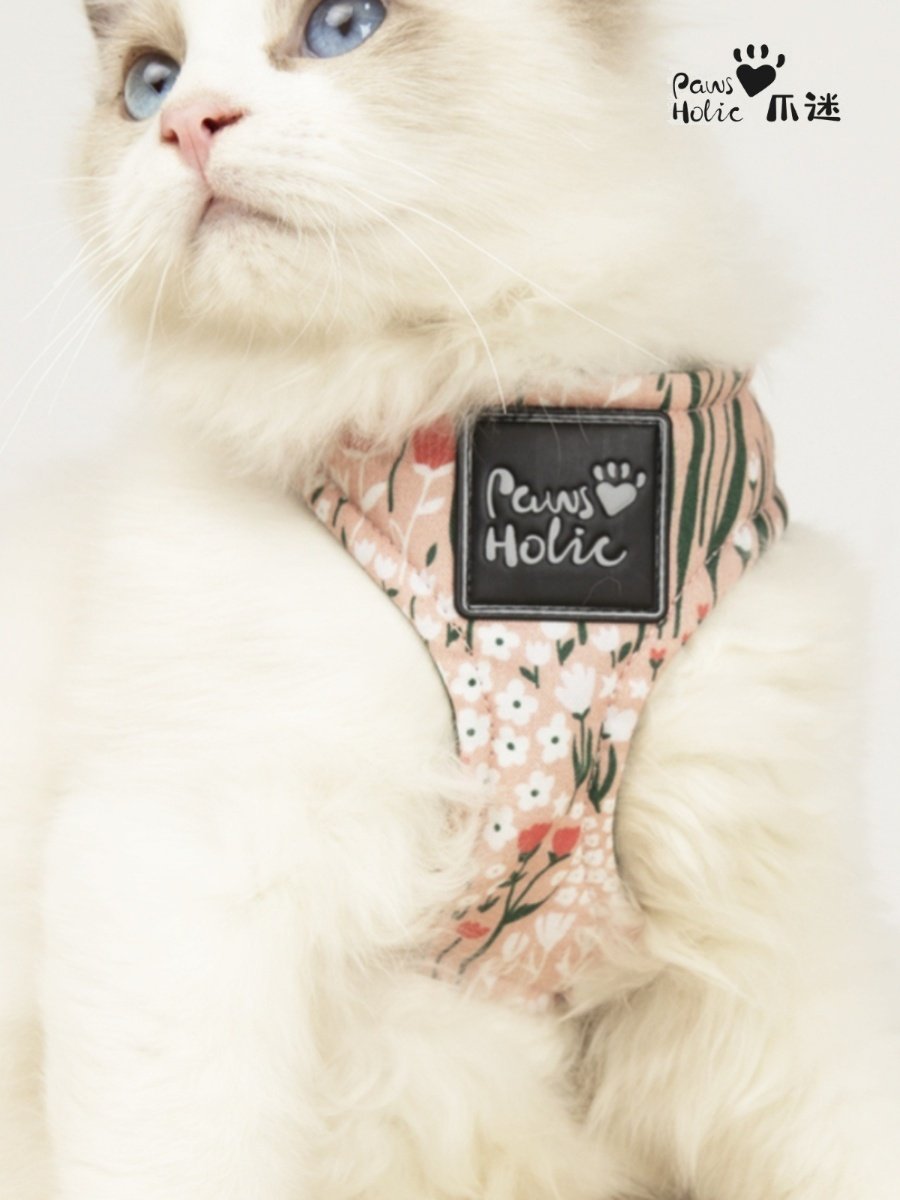 Pawsholic猫皮带背心式挽具防分离宠物户外猫皮带,淘宝优惠券,粉丝福利购,淘宝优惠卷