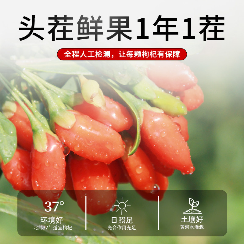 任爽全通枸杞原浆[3盒装]宁夏中宁鲜枸杞原浆液30ml*10袋/盒