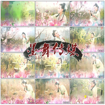 Burial flowers reciting the red building Dream illustrations Lin Daiyu Classical Peach Lotus Leaf Led Background Video Material