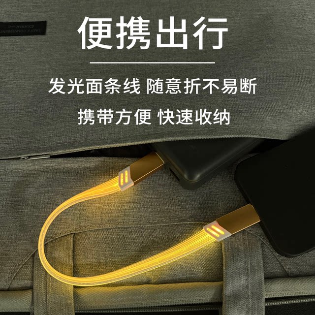 Yixingxing Flat Luminous Gypsophila 100W Super PD Fast Charging Flash Power Bank Data Cable USB to TypeC Head Suitable for Apple Huawei Xiaomi OPPO Mobile Phone Charger Cable Short Cable