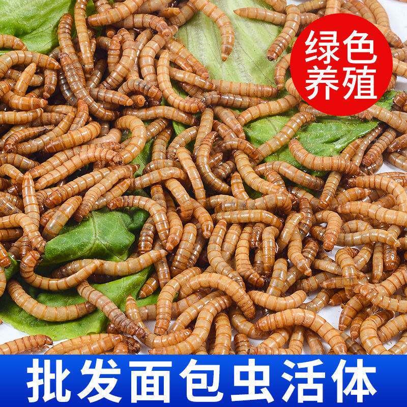 图4
