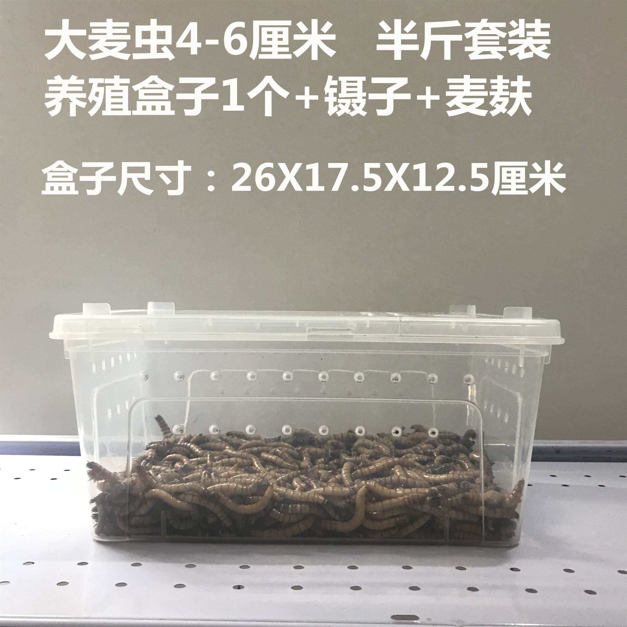 图5