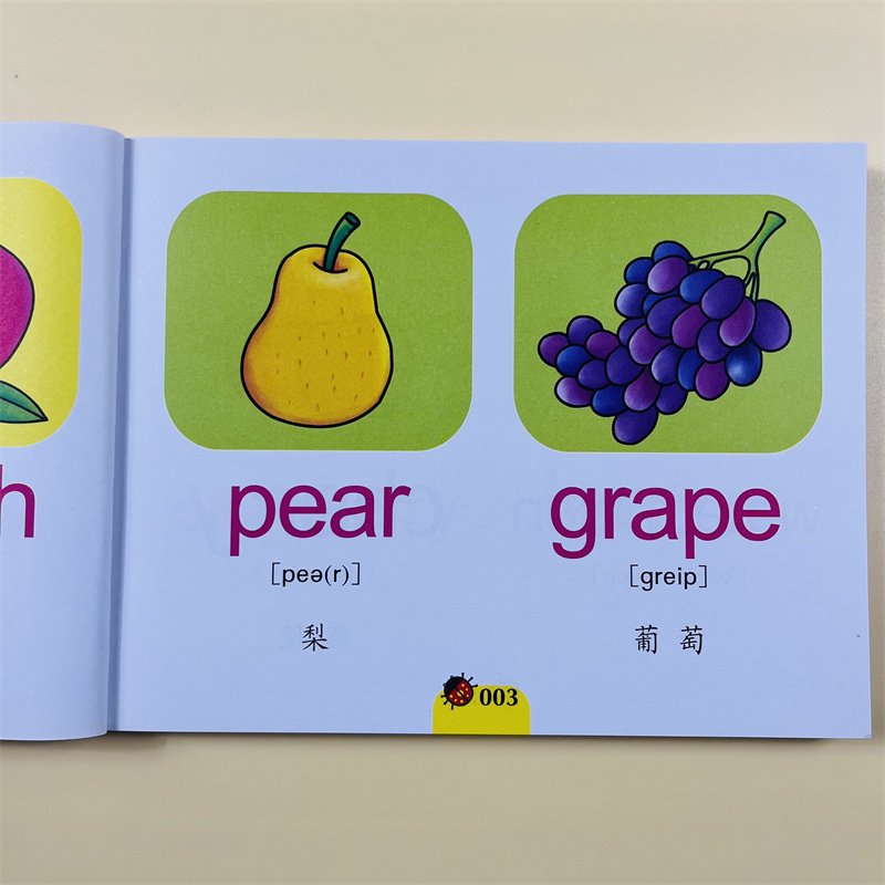 幼儿英语单词图画书2-3-4-5-6岁少儿英语口语教材 带插图单词英文单词启蒙儿童英语绘本基本英语启蒙早教幼儿英语幼升小入学准备