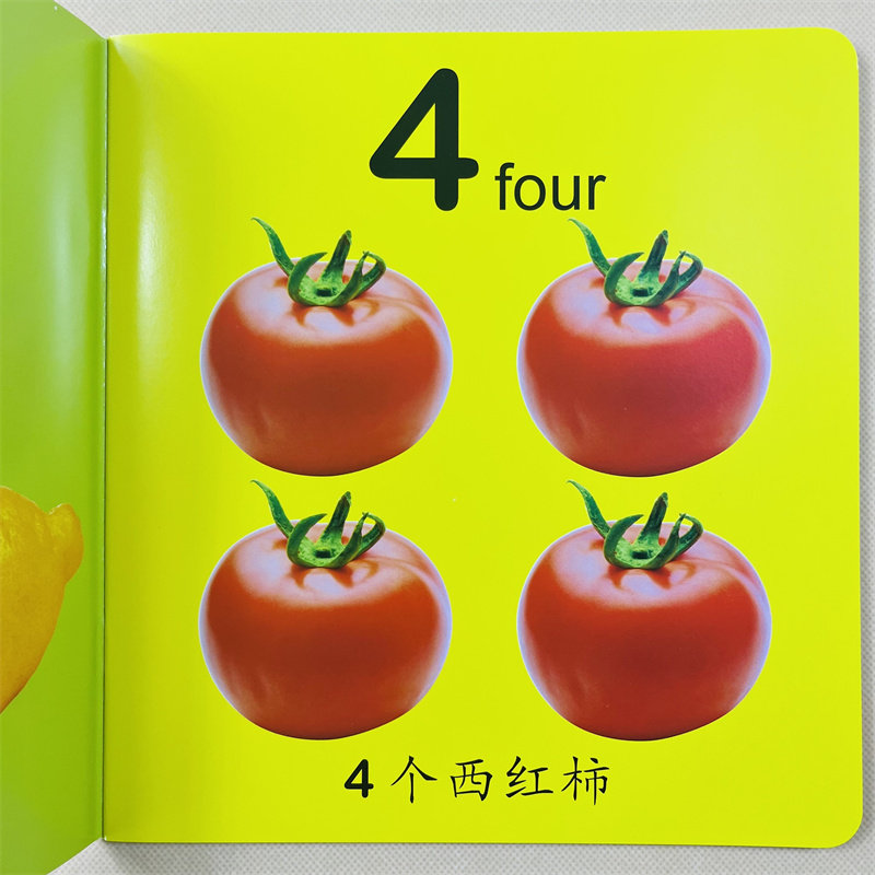 数字(1-100) 宝宝学前启蒙大全0-123-6岁幼儿认数正版一岁半两三岁婴幼儿.369趣味益智教具翻翻书籍认知绘本两岁儿童读物读本