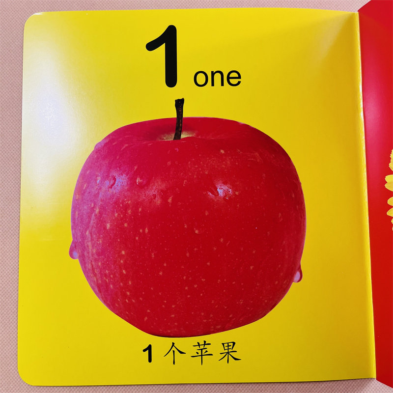 数字(1-100) 宝宝学前启蒙大全0-123-6岁幼儿认数正版一岁半两三岁婴幼儿.369趣味益智教具翻翻书籍认知绘本两岁儿童读物读本