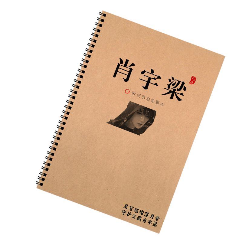 宇航员肖宇梁周边语录歌词本玫瑰体正楷书初中生字帖钢笔练字本子-图3