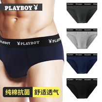 Floral Playboy mens underwear Male Triangle pants pure cotton trendy youth breathability sensation All cotton shorts Big size trouser head