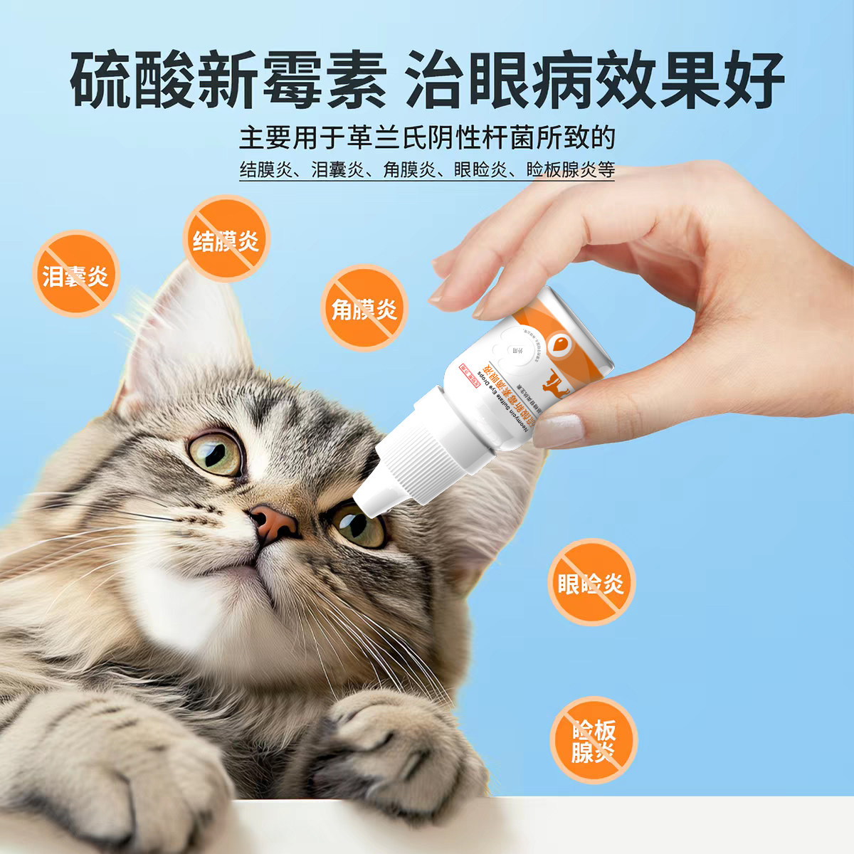 派迪诺硫酸新霉素滴眼液猫咪眼药水宠物狗狗眼睛发炎流泪消炎泪痕