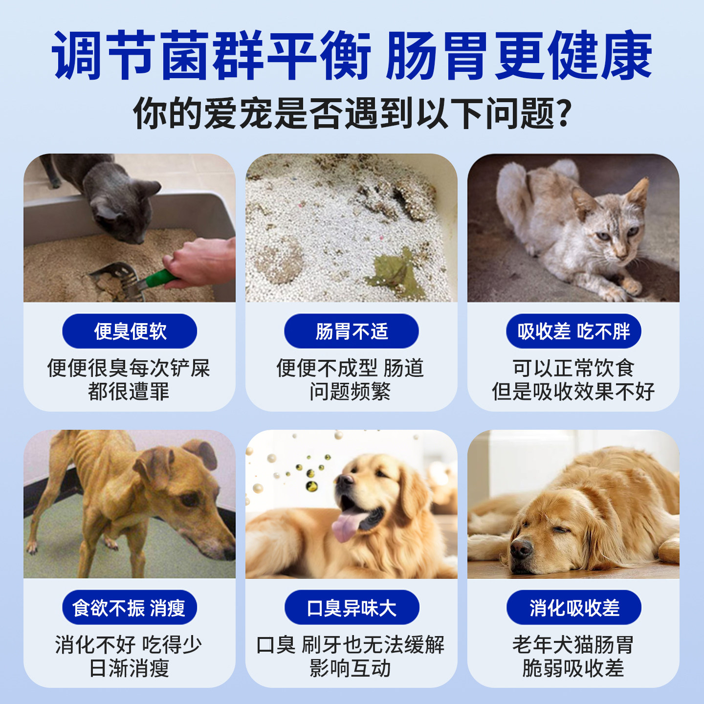 派迪诺猫咪益生菌狗狗调理肠胃小猫用幼犬肠胃宝宠物专用营养补充
