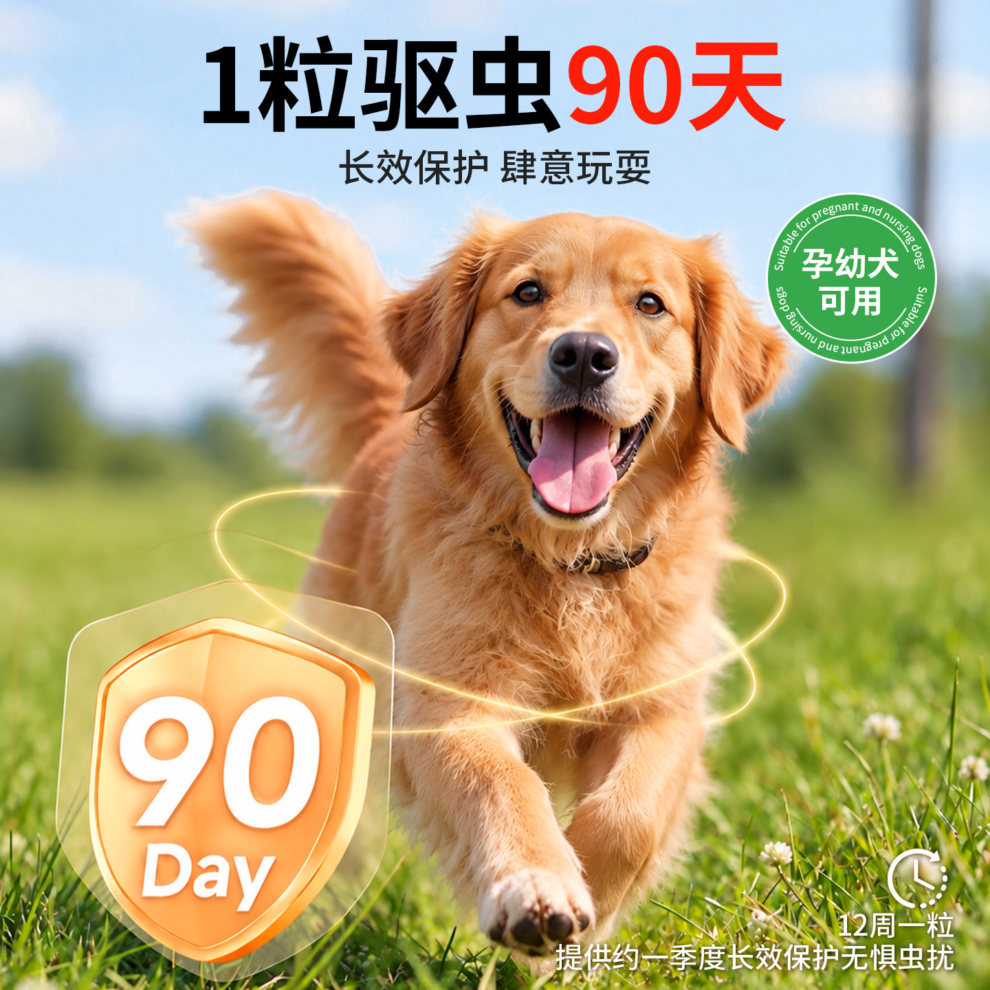 图 5