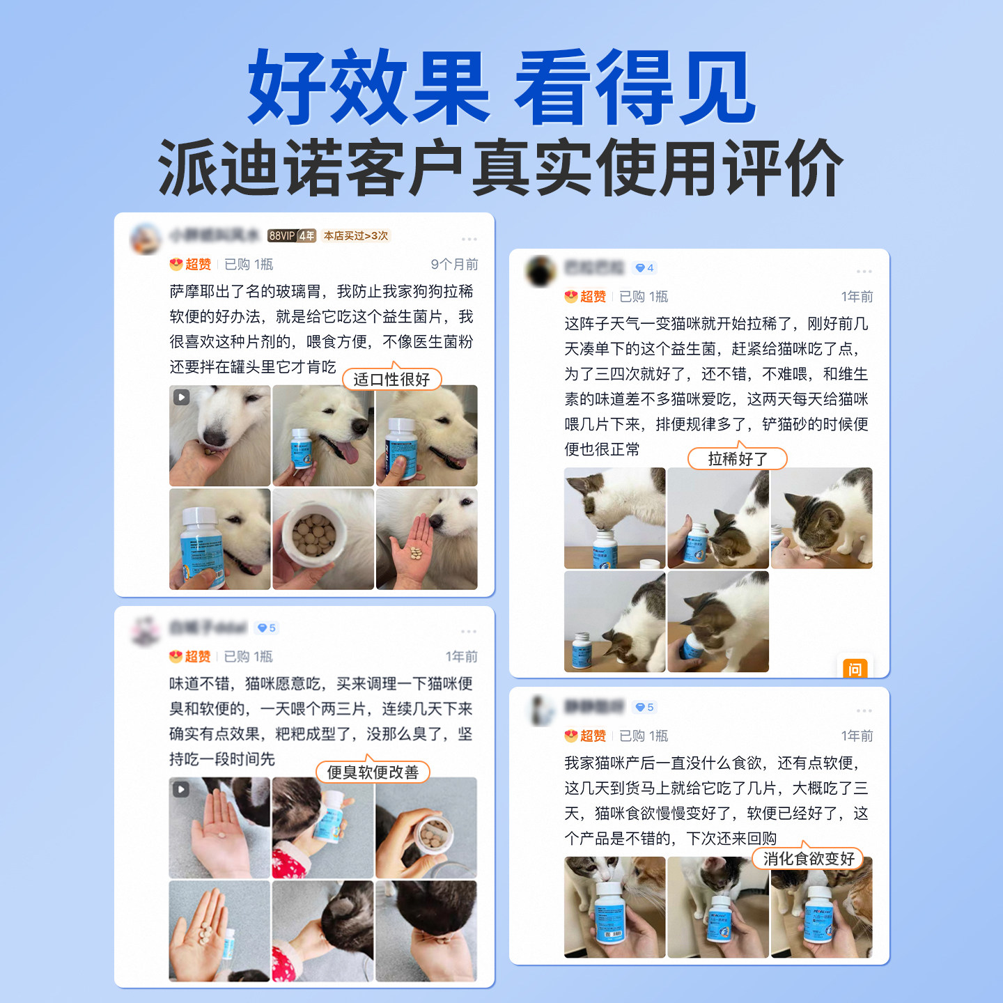 派迪诺猫咪益生菌狗狗调理肠胃小猫用幼犬肠胃宝宠物专用营养补充