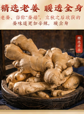 加姜款艾灸贴家用正品随身官方