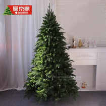 Upscale luxury encryption 1 5 m 1 8 m Christmas Tree Hotel Indoor Home Scene Placement Christmas decorations