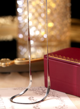 扁蛇骨项链冷淡风日韩气质不锈钢项圈简约百搭扁条港风嘻哈锁骨链