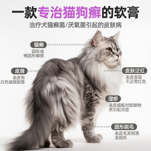 纪梵思猫藓外用狗癣皮肤病真菌皮炎复方酮康唑软膏宠物猫癣外用药 - 图0