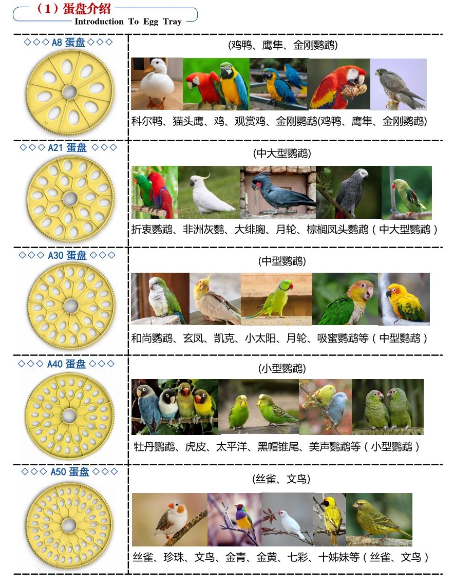 澳门A8全自动高精度孵化器家用小型鹦鹉丝雀鸟类蛋恒温育雏保温箱-图2