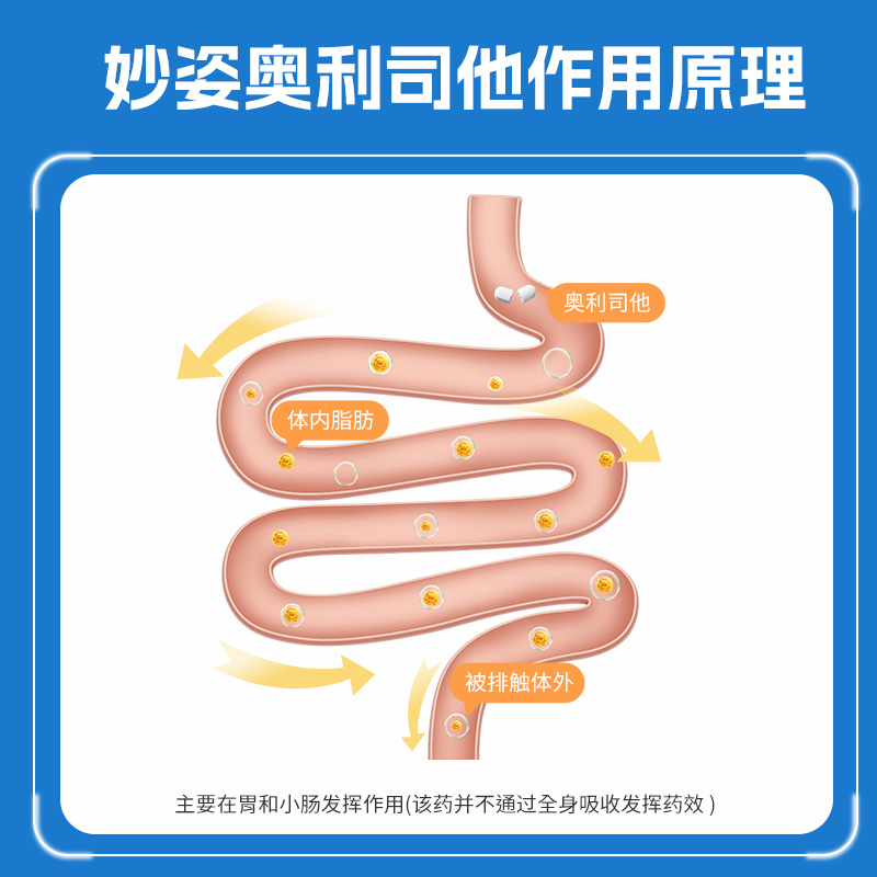 妙姿奥利司他胶囊3粒装减肥排油减脂瘦腰瘦腿瘦肚子抗肥胖正品DY-图0