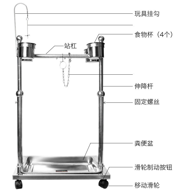 不锈钢鹦鹉鸟架宠物鸟栖息架站架鸟类架子观赏鸟架小鸟脚链脚环,淘宝优惠券,粉丝福利购,淘宝优惠卷