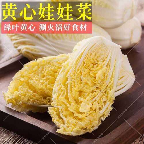 娃娃菜种子四季播黄金娃娃菜种籽小白菜庭院种菜阳台盆栽蔬菜种子 - 图3