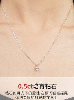 DEINO黛诺铂金钻石项链女经典高级轻奢设计项链送女朋友礼物