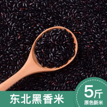 Five normal black rice New rice 5 grain purple rice red rice brown rice brown rice blood sticky rice coarse grain rice Northeast black fragrant rice 5 catty