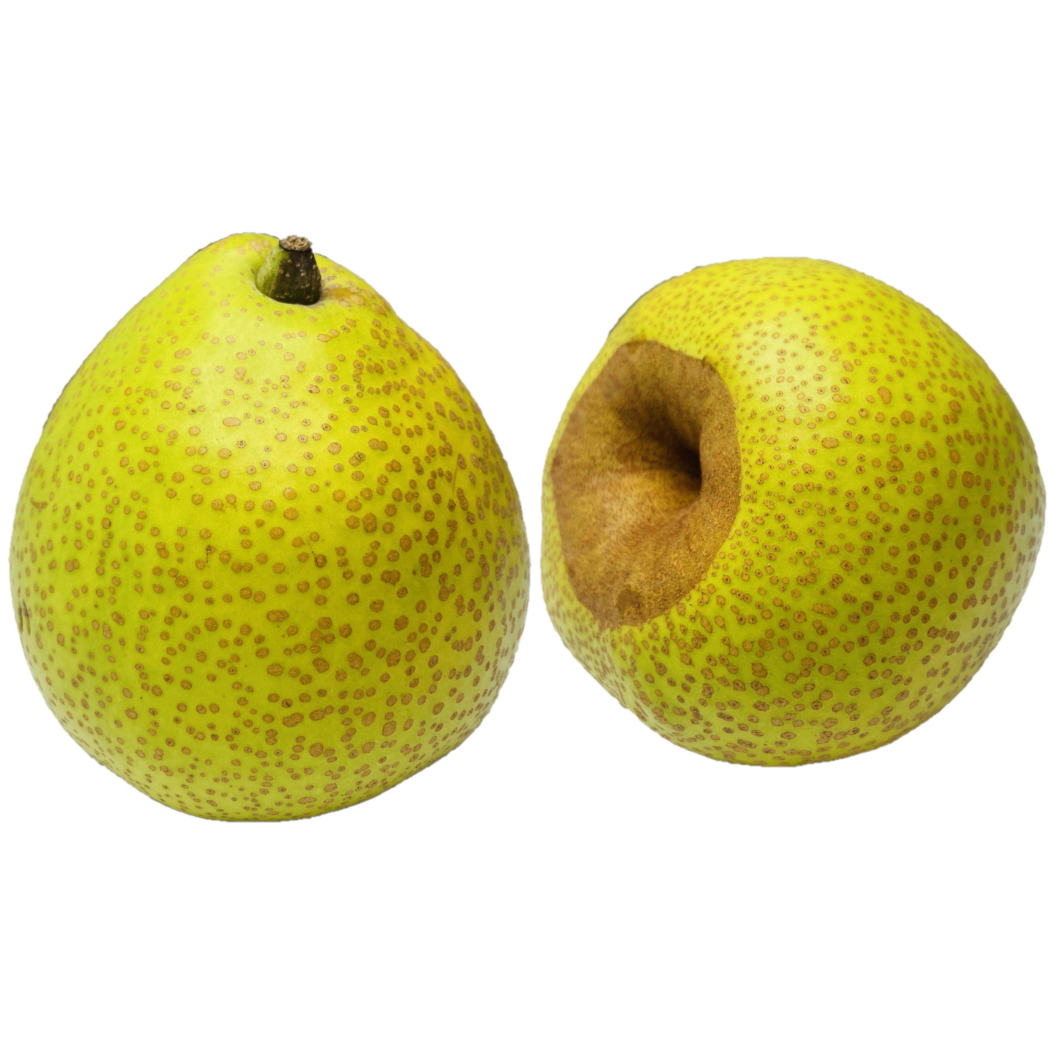 【正宗山东莱阳慈梨】无蜡新鲜慈梨紧实脆甜无渣产地直供山东特产,淘宝优惠券,粉丝福利购,淘宝优惠卷