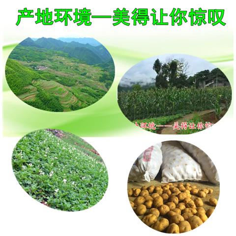 重庆正宗洋芋粉纯土豆粉淀粉热卖水晶饺家用马铃薯生粉恩施巫山特-图1