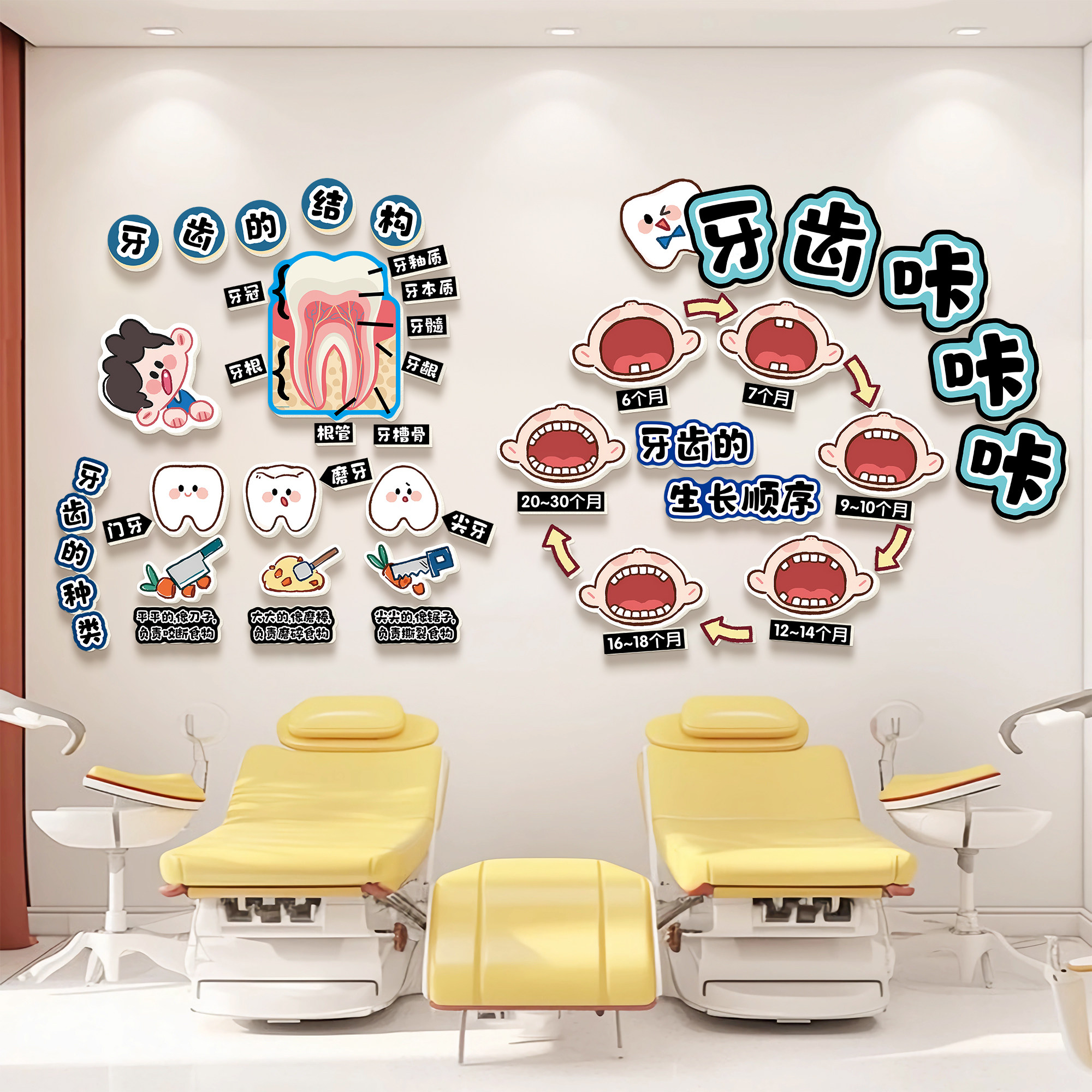 牙齿结构图文化背景墙贴纸海报儿童口腔诊所墙面装饰牙科宣传挂画