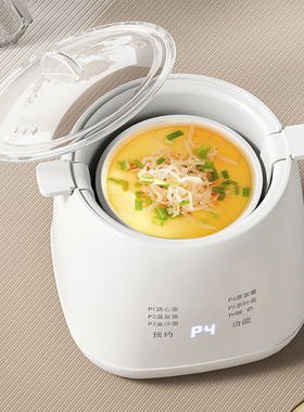煮蛋器蒸蛋器自动断电迷你鸡蛋机小型迷你宿舍多功能家用早餐神器